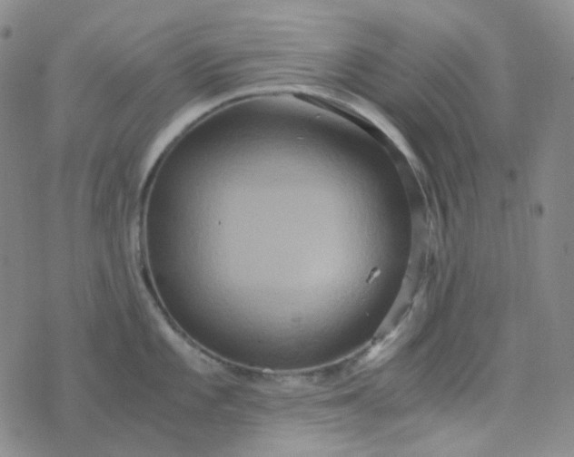 X0000076451101200610202328