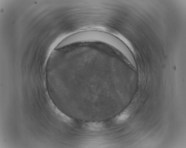 X0000076451102200610202328