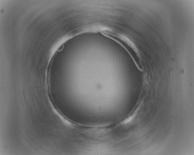 X0000076451103200610202328