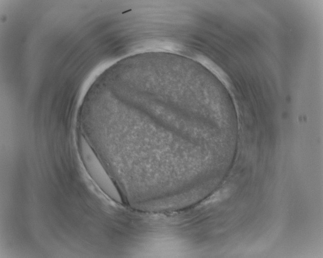 X0000076451104200610202328