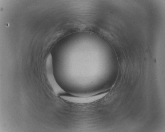 X0000076451105200610202328