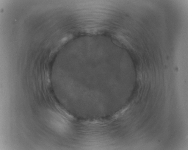 X0000076451106200610202328