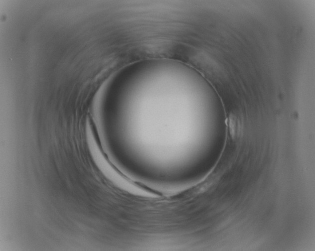 X0000076451107200610202328