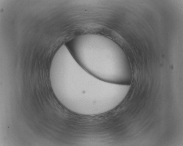 X0000076451108200610202328