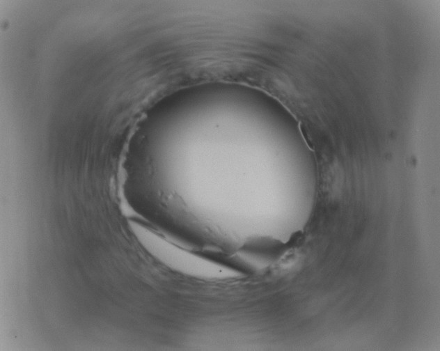 X0000076451109200610202328