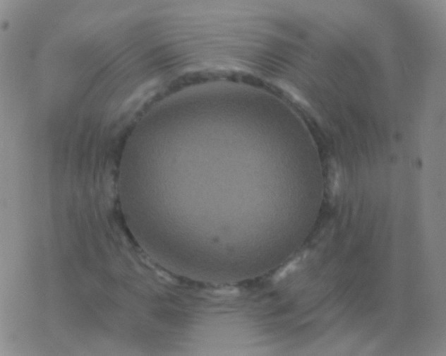 X0000076451110200610202328