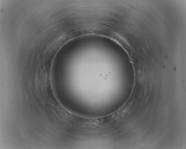 X0000076451111200610202328