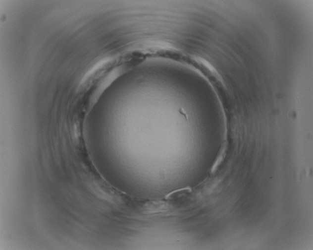 X0000076451112200610202328