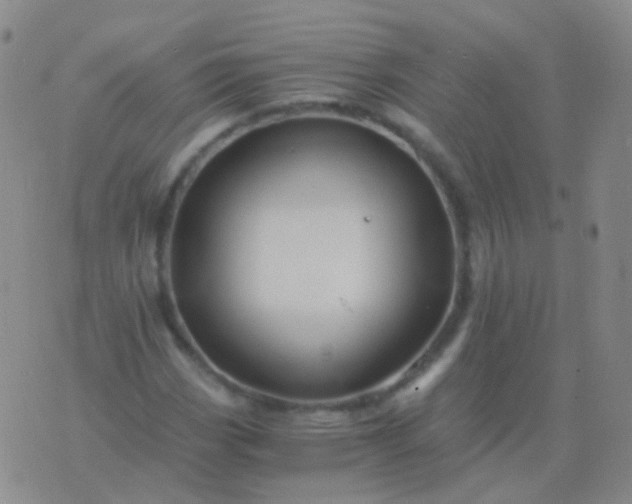 X0000076451113200610202328