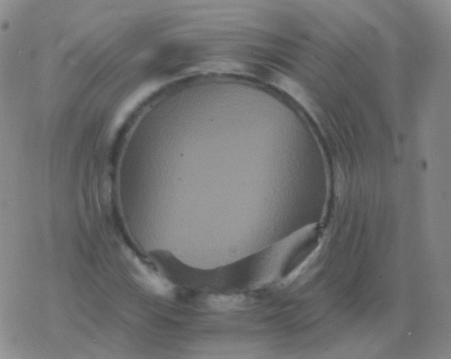 X0000076451115200610202328