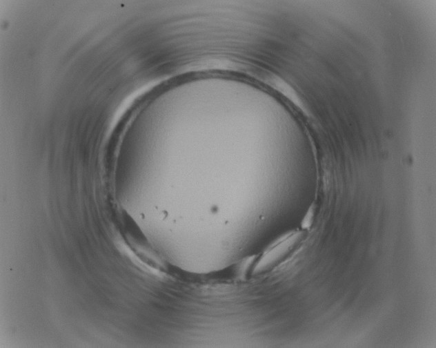 X0000076451116200610202328