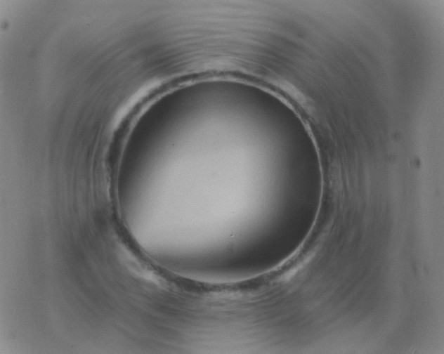 X0000076451118200610202328