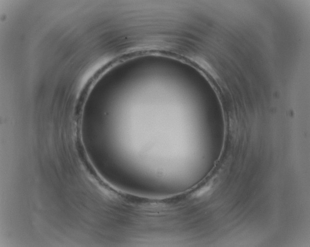 X0000076451119200610202328