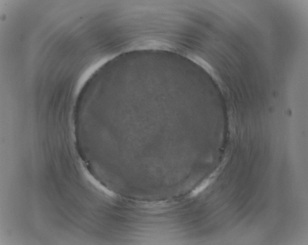 X0000076451120200610202328