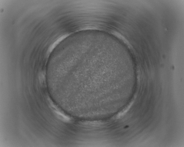 X0000076451121200610202328