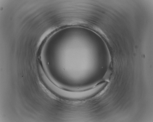 X0000076451122200610202328