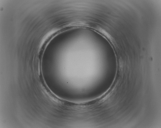 X0000076451123200610202328