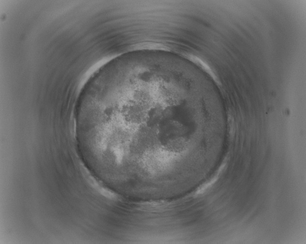 X0000076451125200610202328