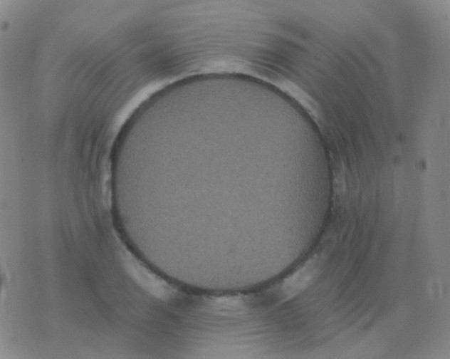 X0000076451126200610202328