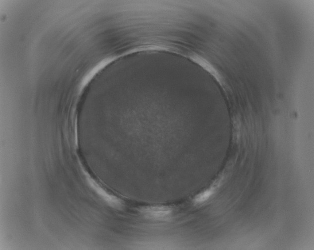 X0000076451127200610202328