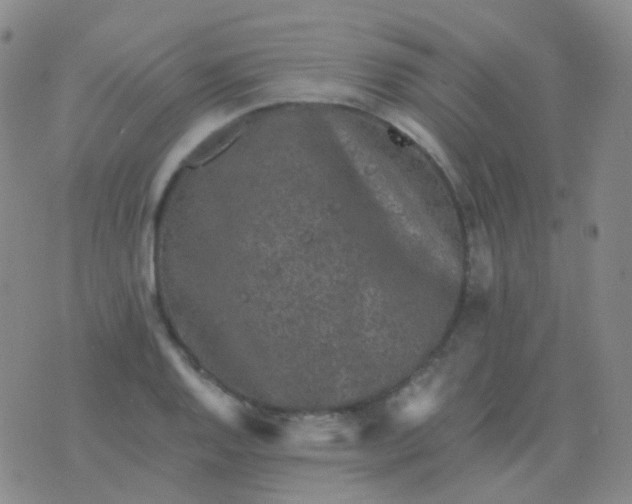 X0000076451128200610202328