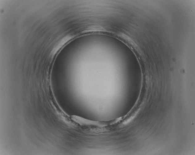 X0000076451129200610202328