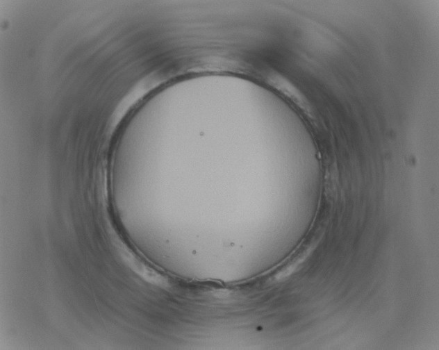 X0000076451130200610202328