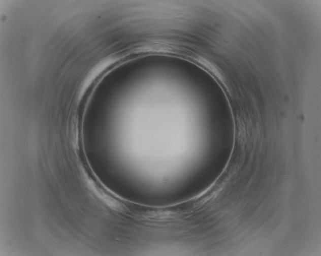 X0000076451131200610202328