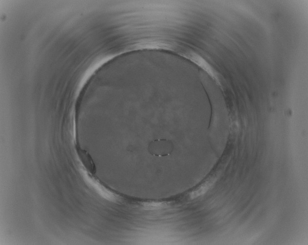 X0000076451132200610202328