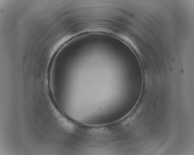 X0000076451133200610202328