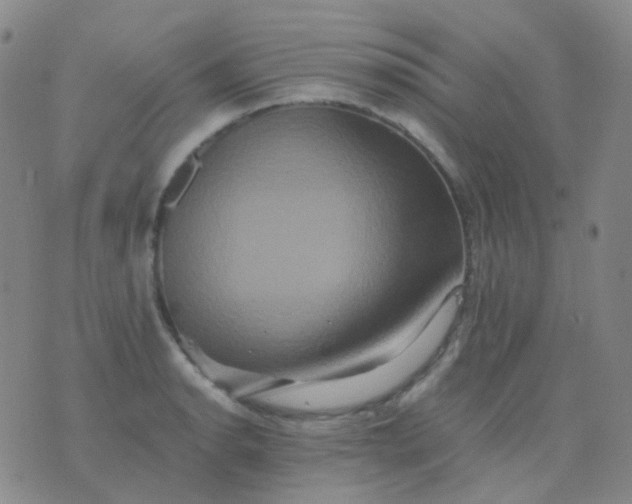 X0000076451134200610202328