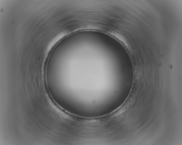 X0000076451135200610202328