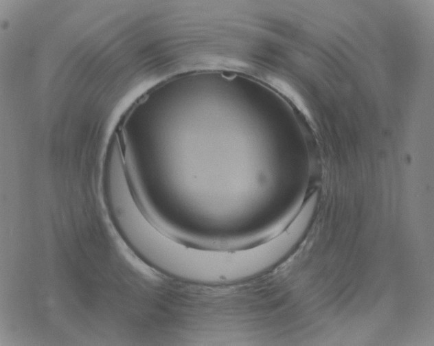 X0000076451136200610202328