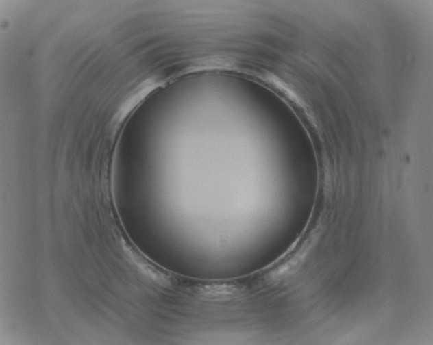 X0000076451137200610202328