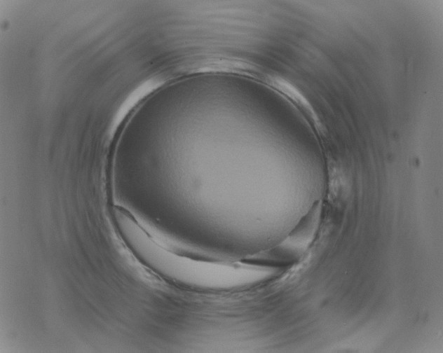 X0000076451138200610202328