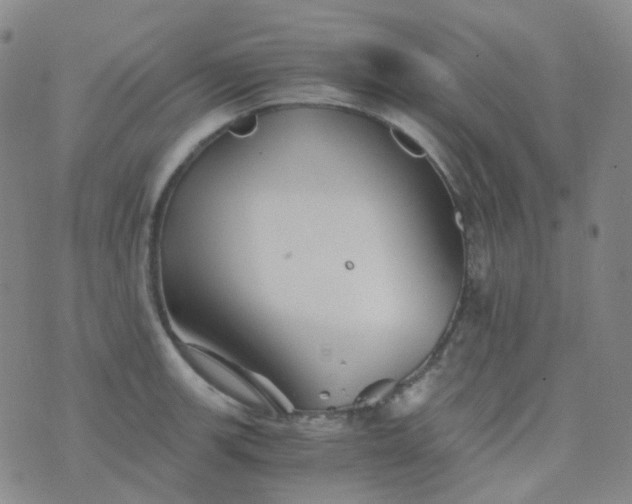 X0000076451139200610202328