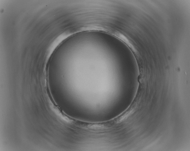 X0000076451140200610202328