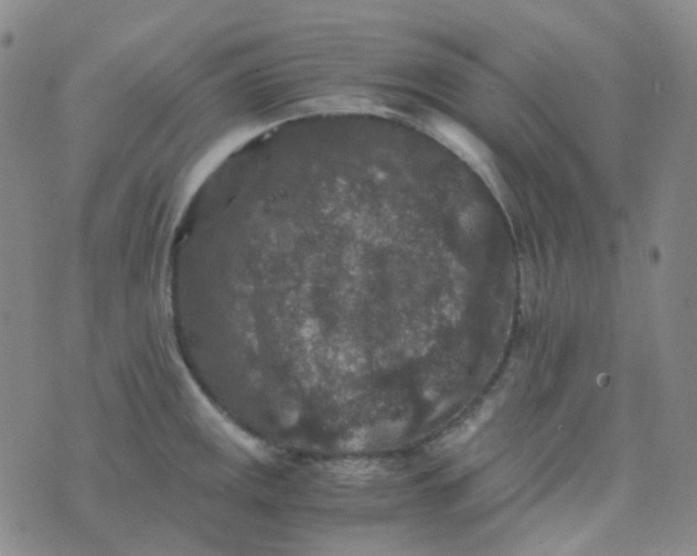 X0000076451141200610202328