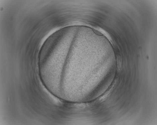 X0000076451142200610202328