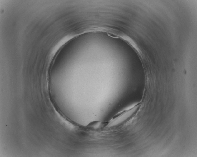 X0000076451143200610202328