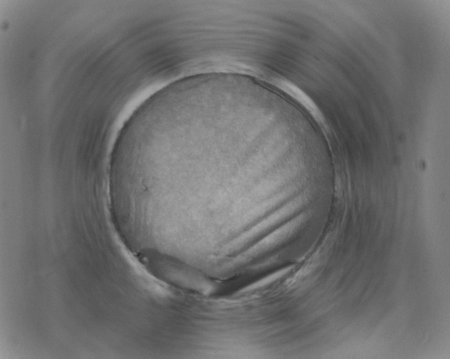 X0000076451144200610202328