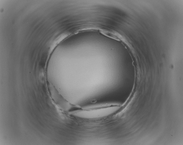 X0000076451145200610202328