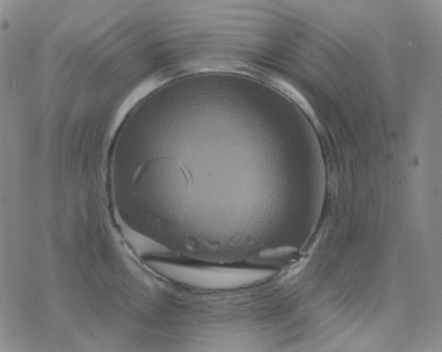 X0000076451146200610202328