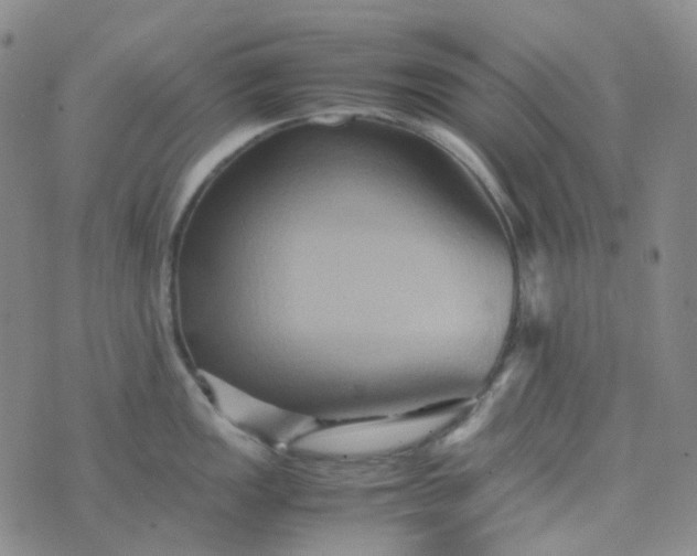 X0000076451149200610202328