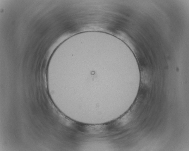 X0000076451150200610202328