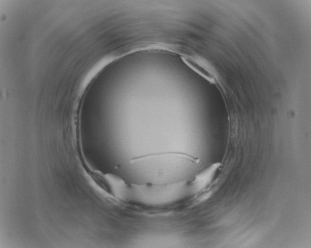 X0000076451151200610202328