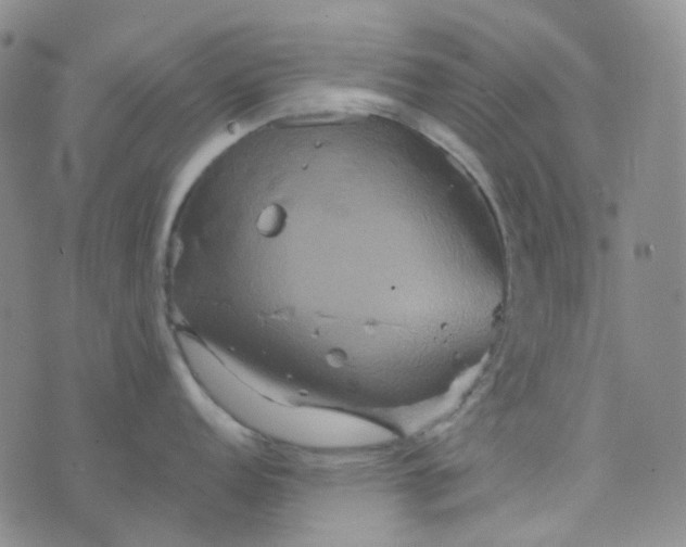 X0000076451152200610202328