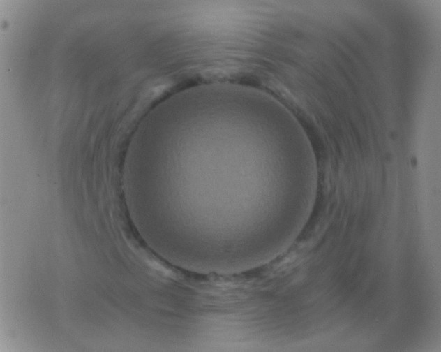 X0000076451153200610202328