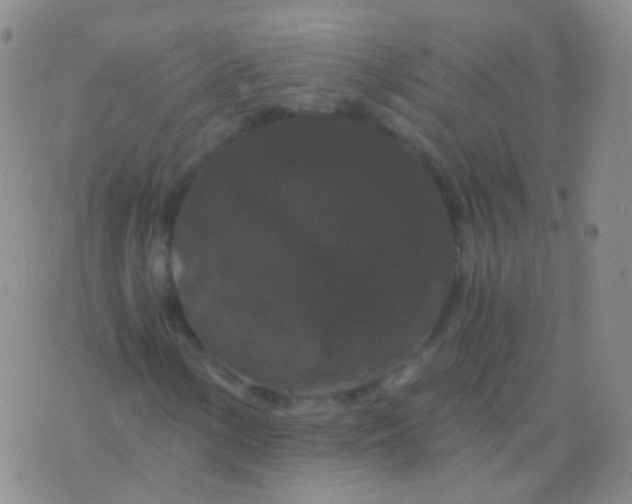 X0000076451154200610202328