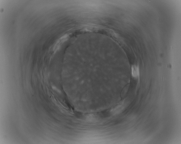 X0000076451155200610202328